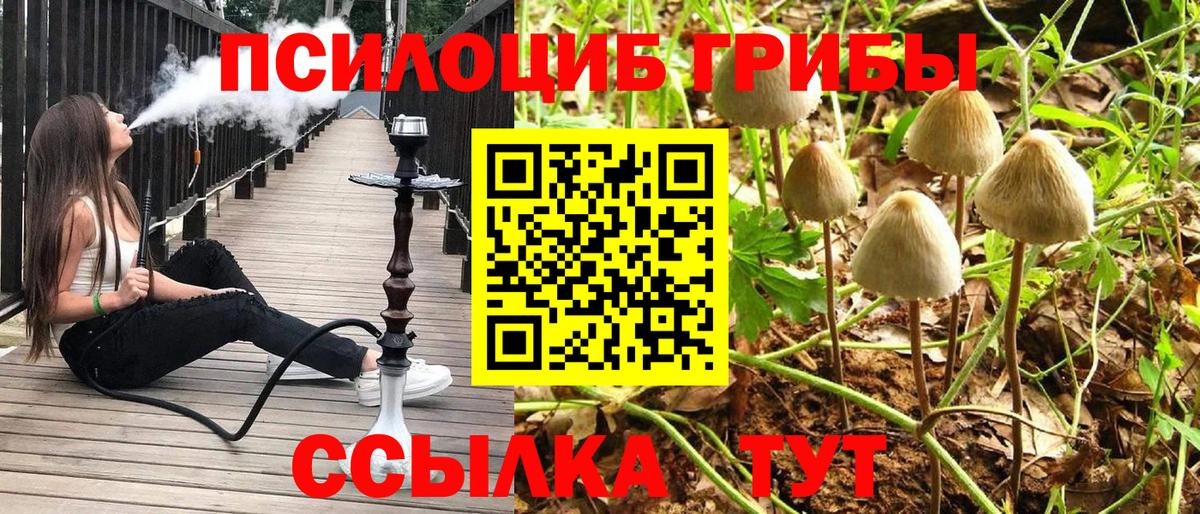 Псилоцибиновые грибы мухоморы  Вход с VPN  Ижевск 